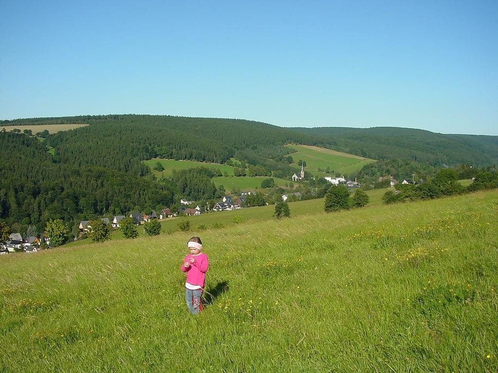 Ferienwohnung Erzhuette Rechenberg-Bienenmühle Zewnętrze zdjęcie