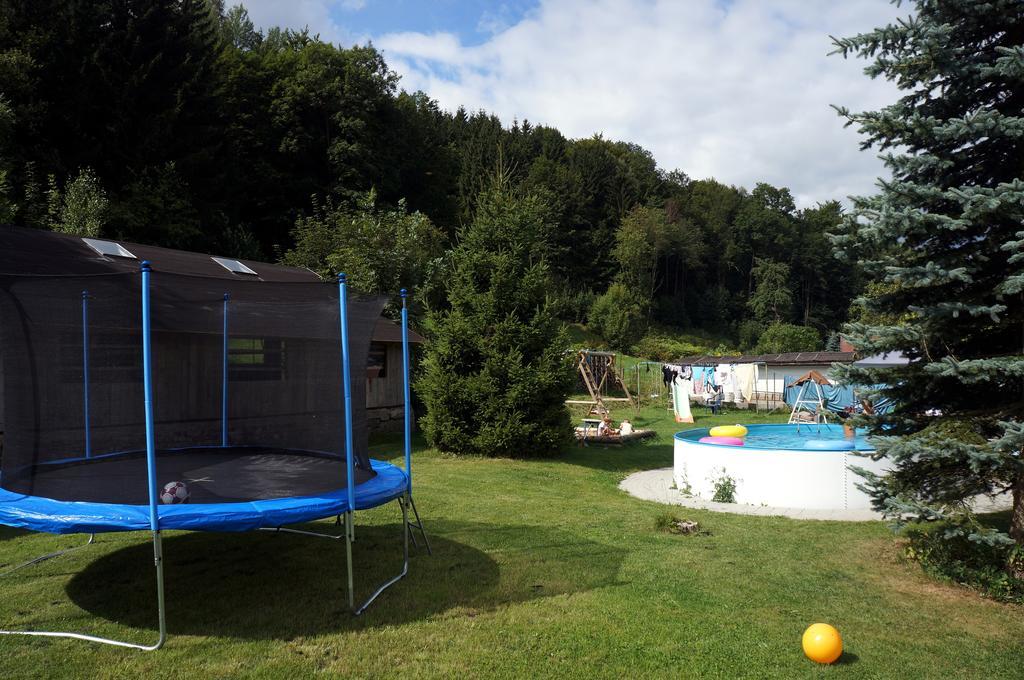 Ferienwohnung Erzhuette Rechenberg-Bienenmühle Pokój zdjęcie